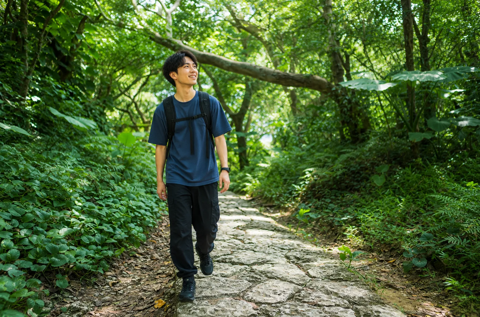 緑の参道を歩く旅人